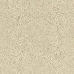Stainfree Sophisticat Cotton