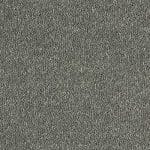 Stainfree Sophisticat Titanium
