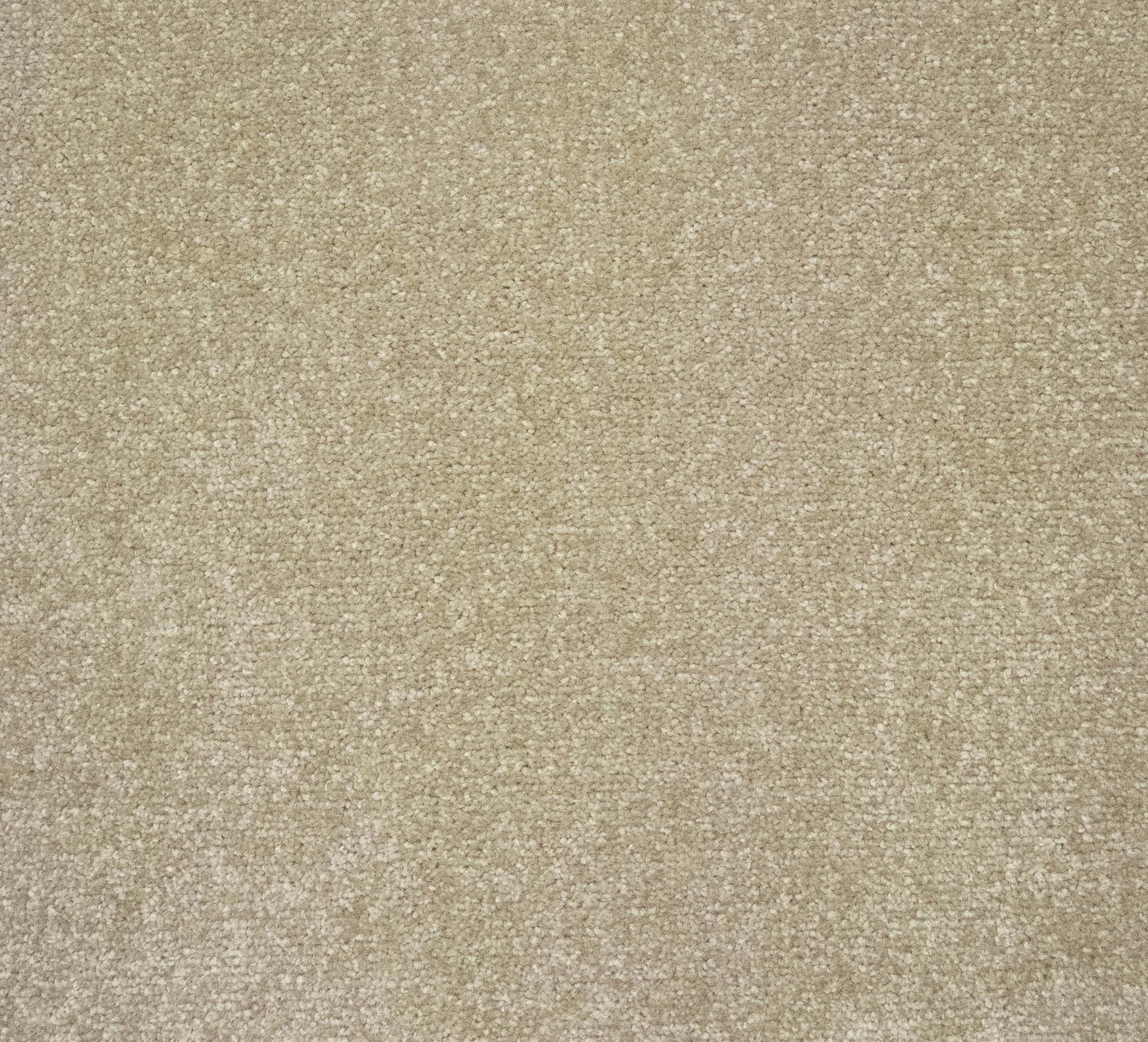 49459-Large-scaled-1