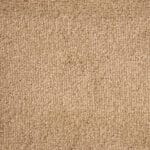 Stainfree Arena Plus Cool Beige