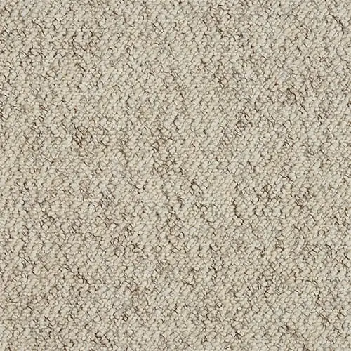 Buy Stainfree Country Weave Greige online at Treacy's Carpets
