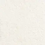Aeon Polar Bear