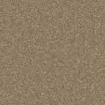 Sienna 220 Acorn