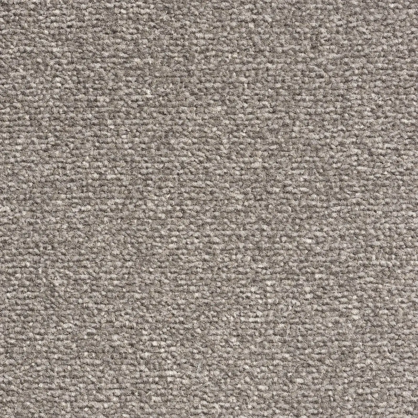 Windsor Velvet 176 Peppercorn