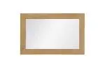 Delaney mirror