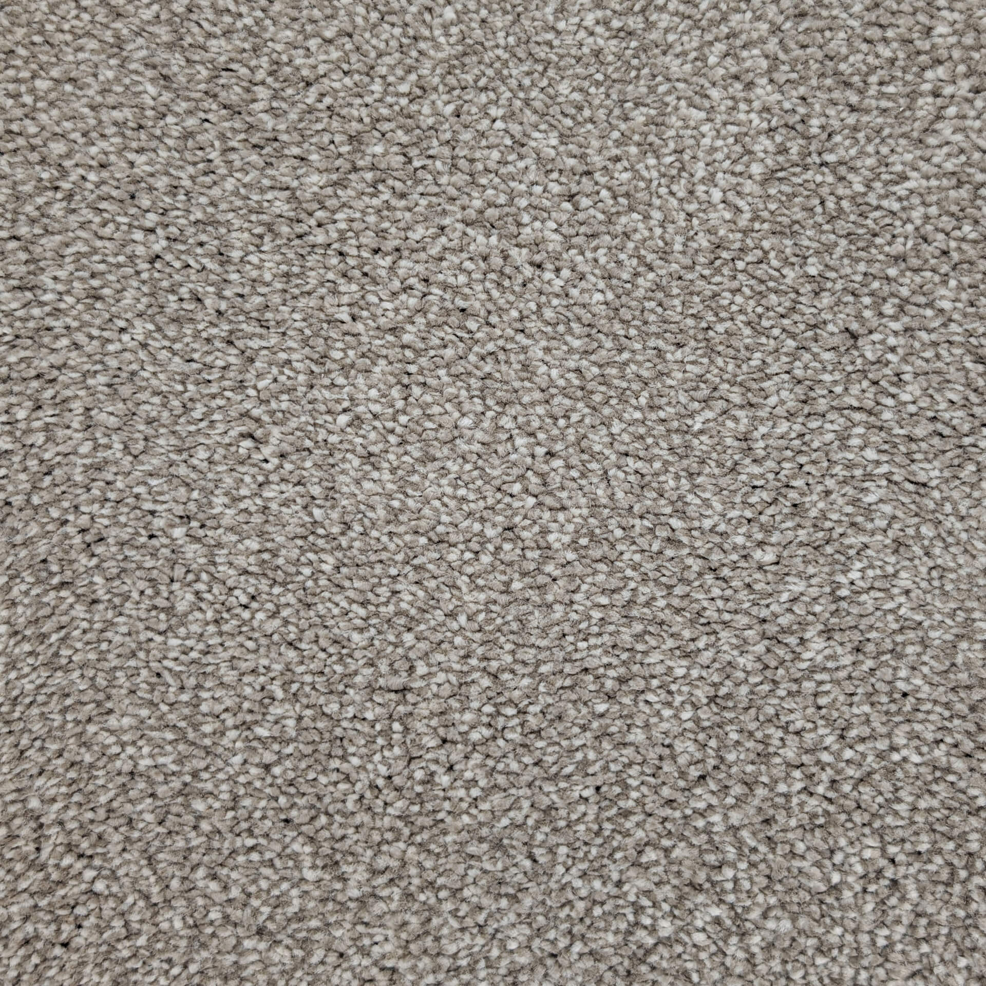 Close-up of beige textured carpet fibers at a macro scale, showing dense pile.