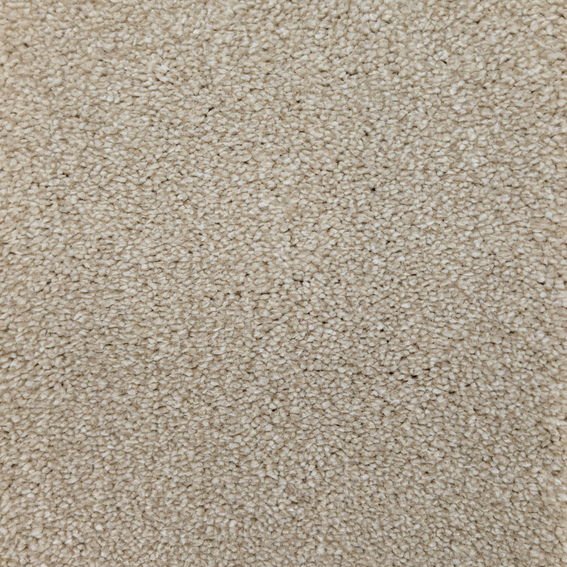 Close-up of beige carpet fibers with a soft, textured pile.