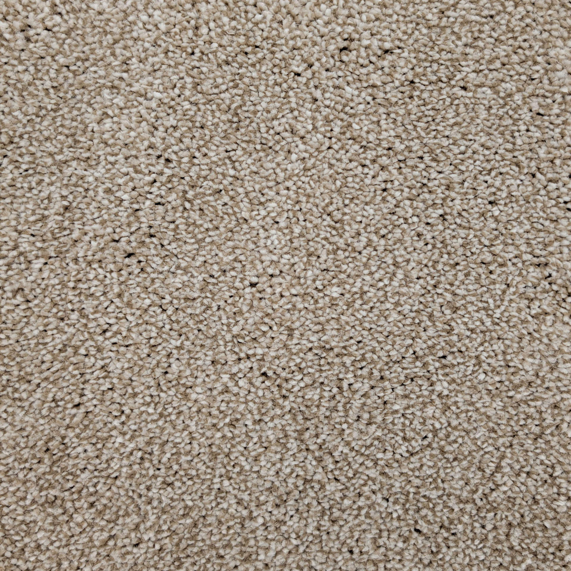 Close-up of beige carpet fibers with a dense, plush pile.