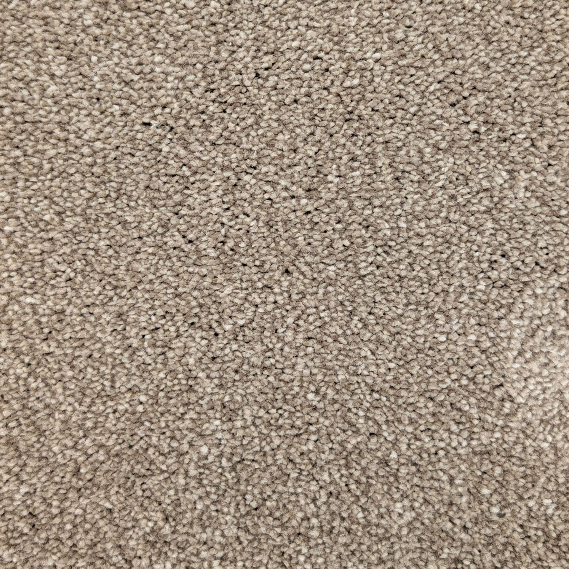 Close-up of beige carpet fibers showing dense, textured pile.