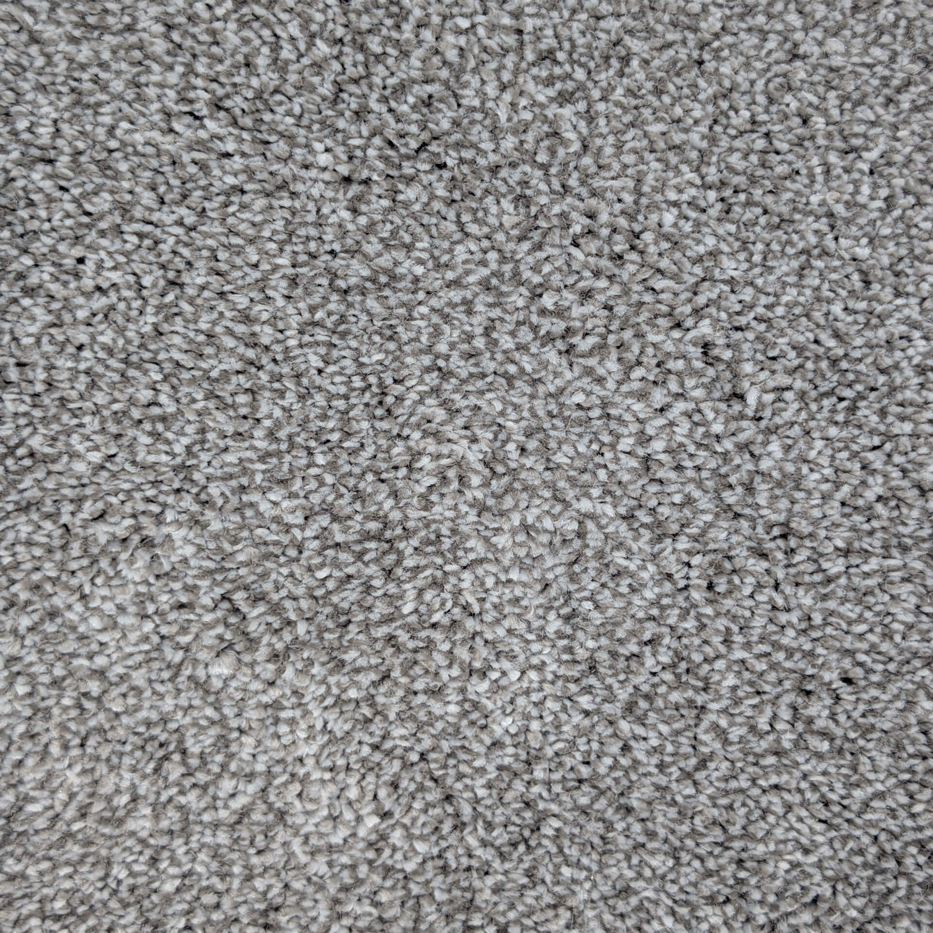 Close-up of light gray shag carpet fibers with a dense, plush pile in neutral tones.