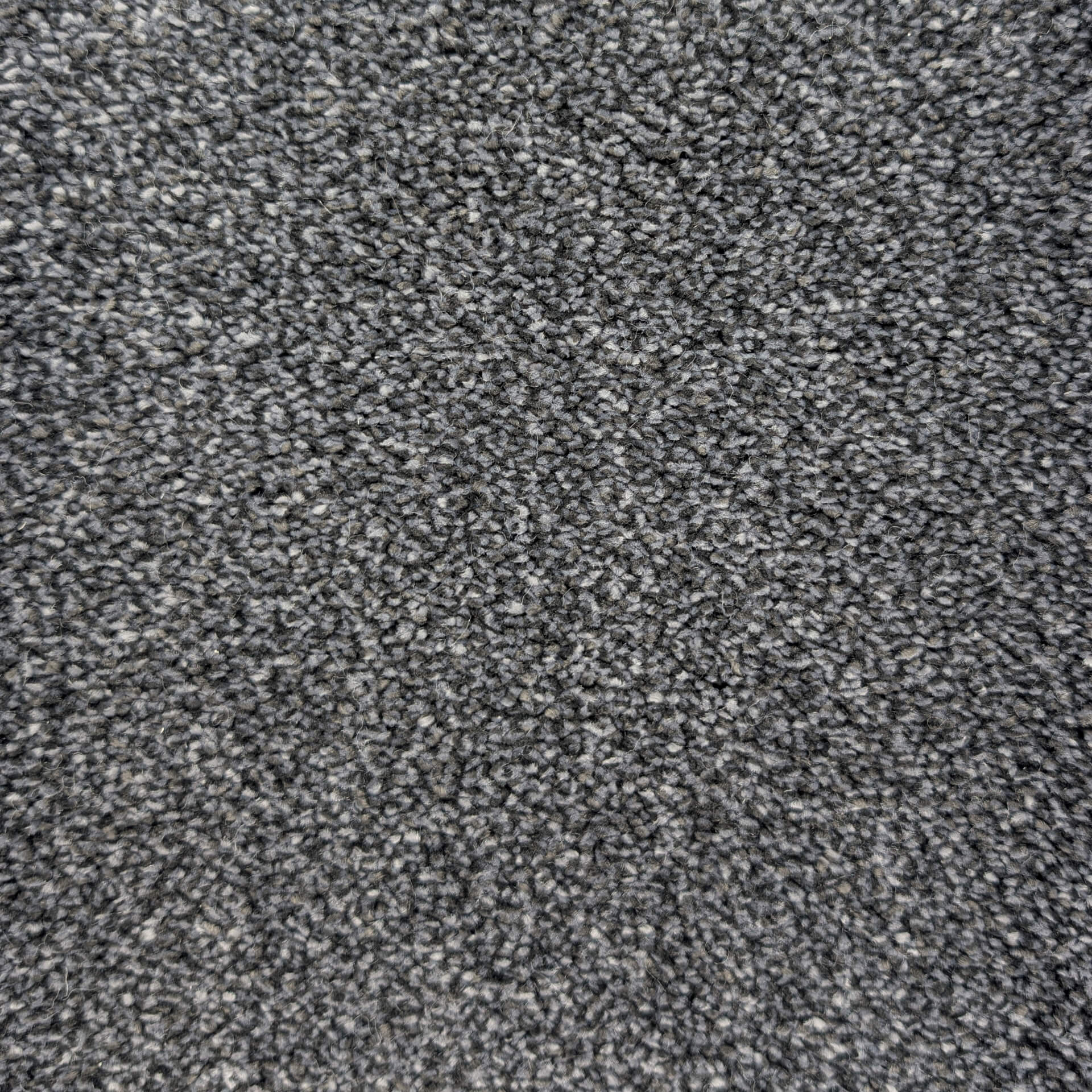 Close-up of gray speckled carpet fibers showing a looped texture.