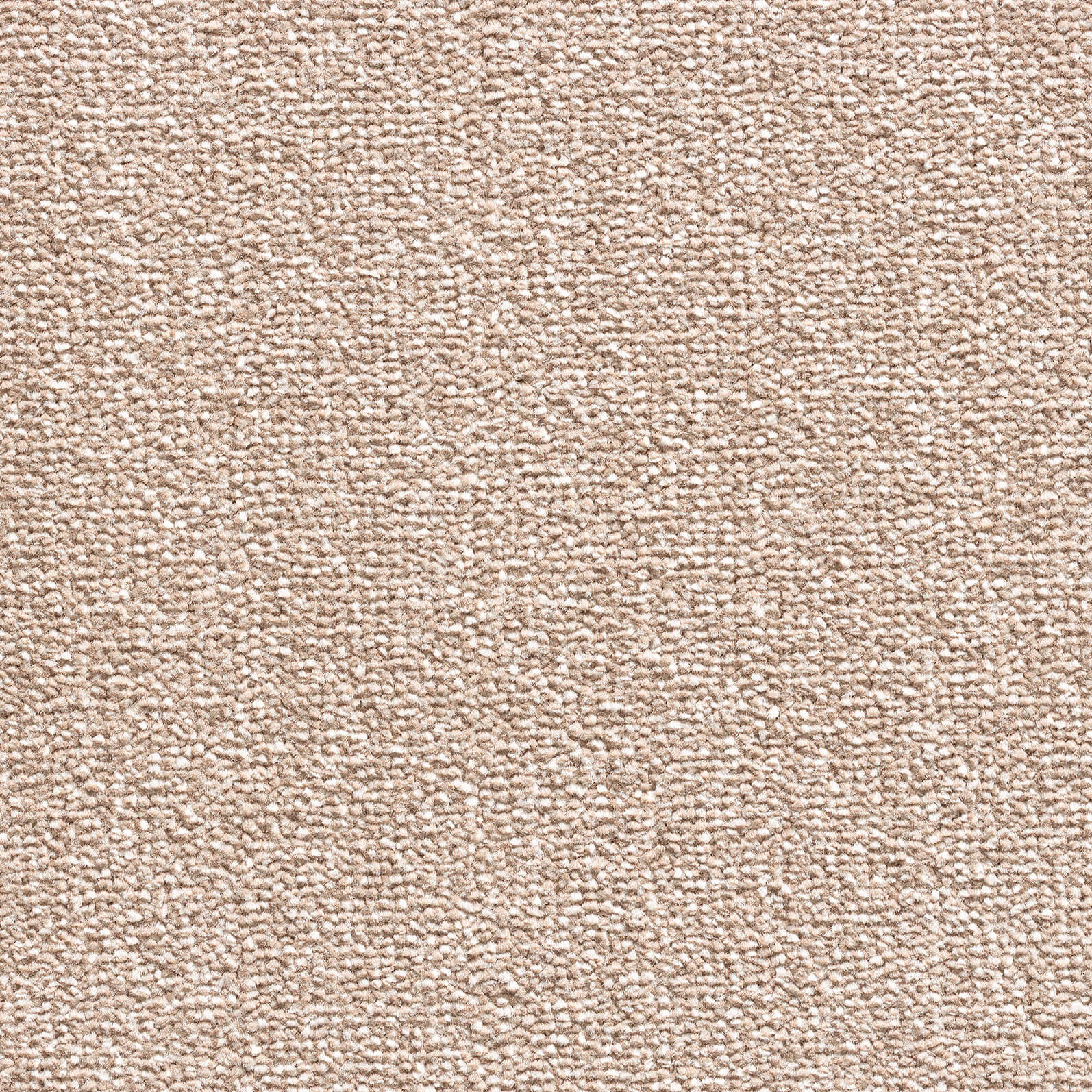 Close-up of beige carpet fibers with a dense loop pile texture (neutral tan color).