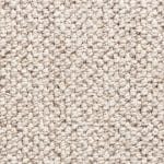 Close-up of beige loop-pile carpet fibers with a soft, textured surface