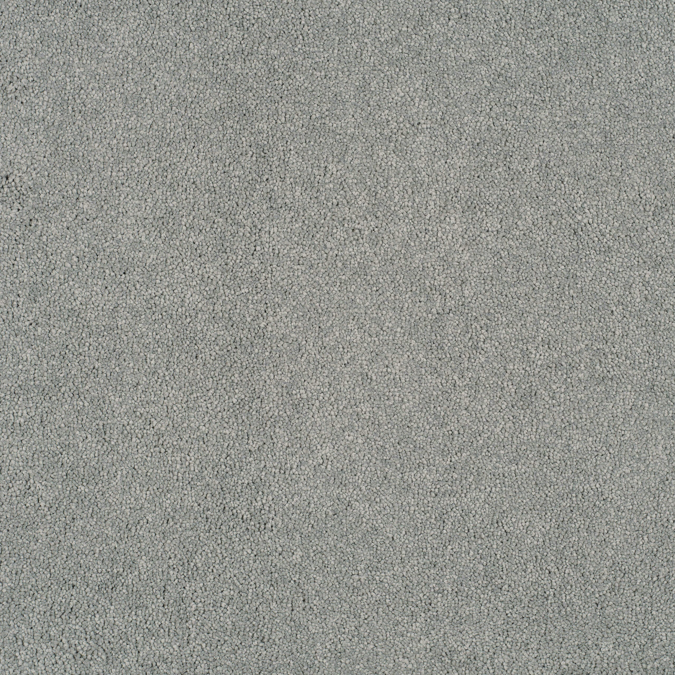 Close-up of a gray textured carpet with small loop fibers.