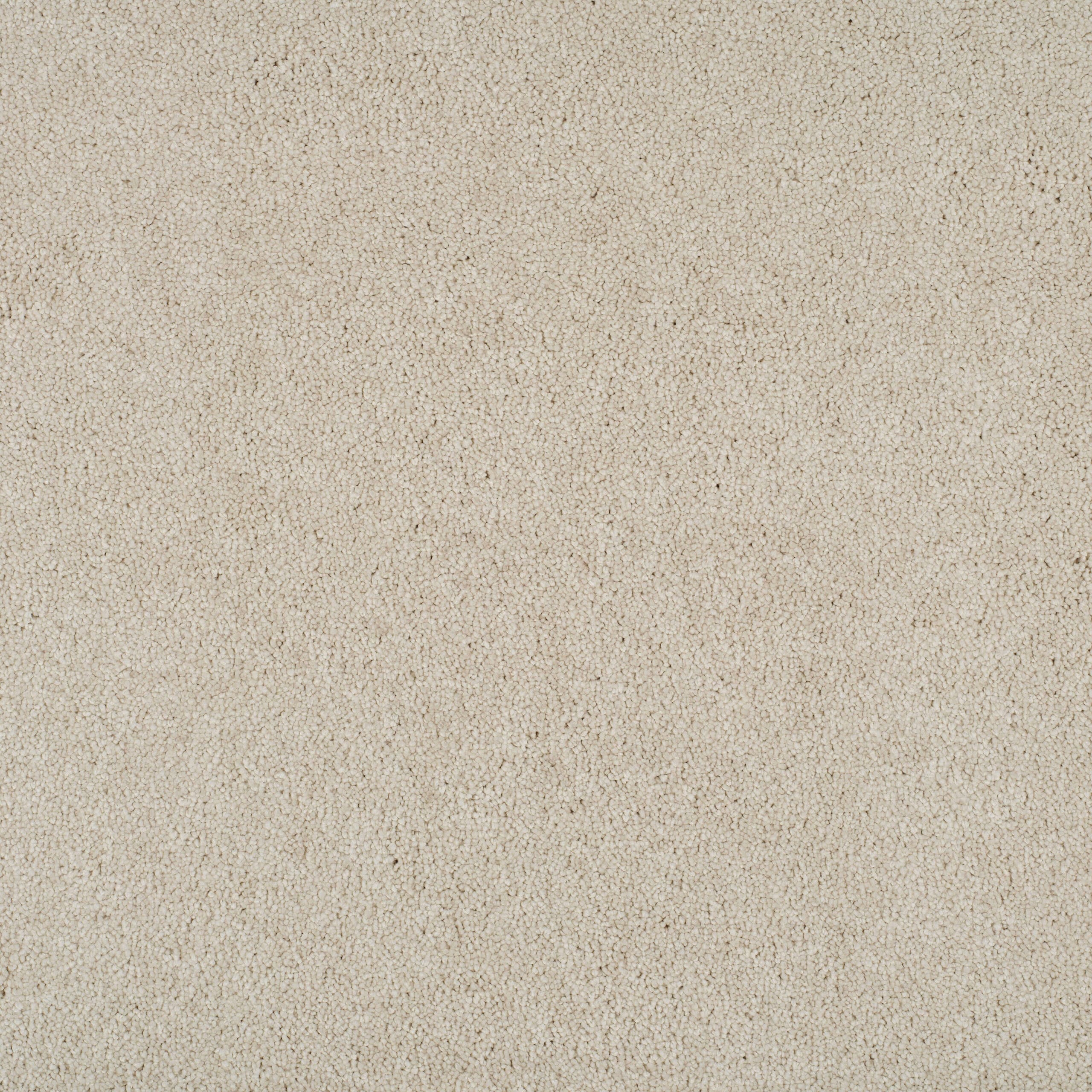 Close-up of a beige, loop-pile carpet texture.