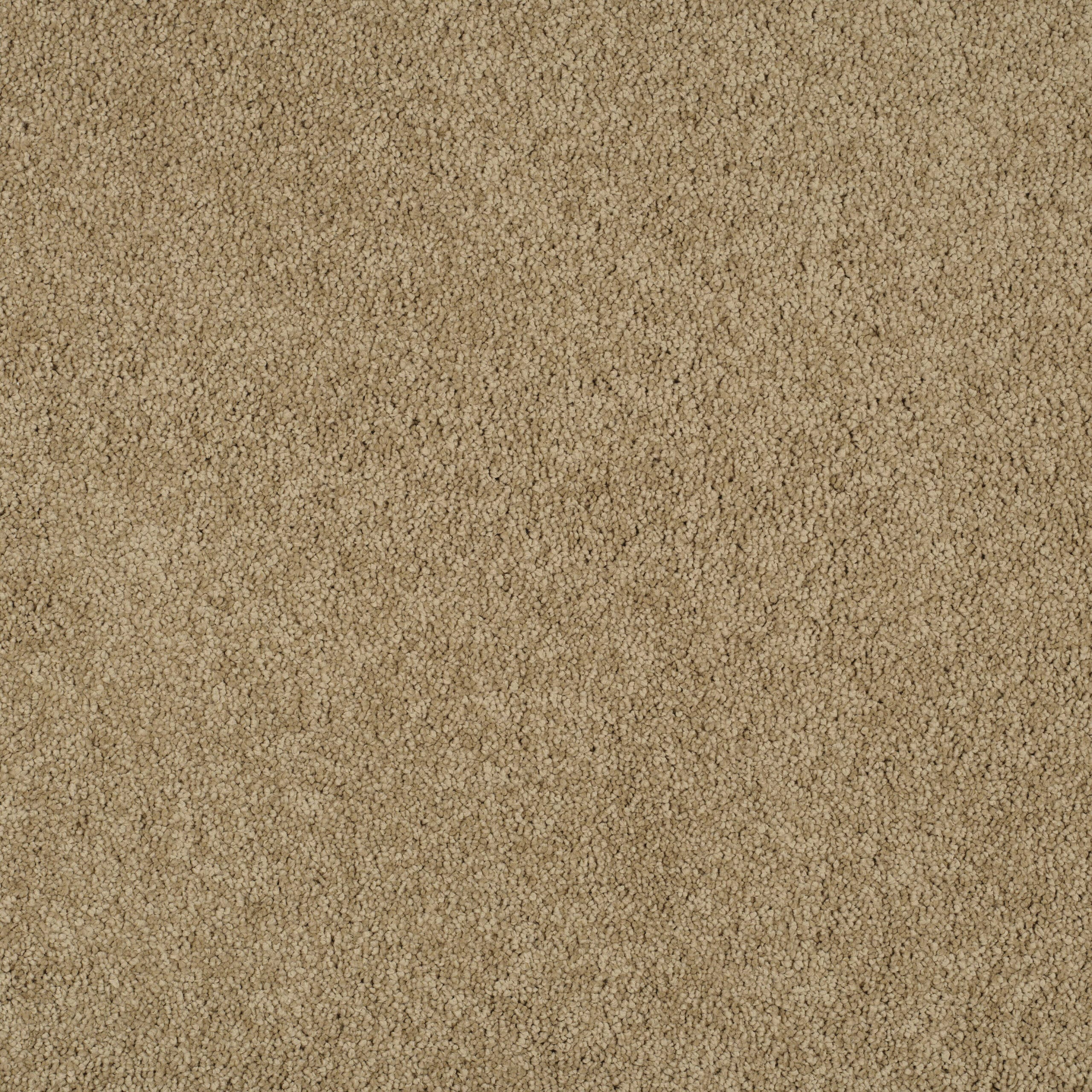 Close-up of beige carpet with a looped fiber texture.