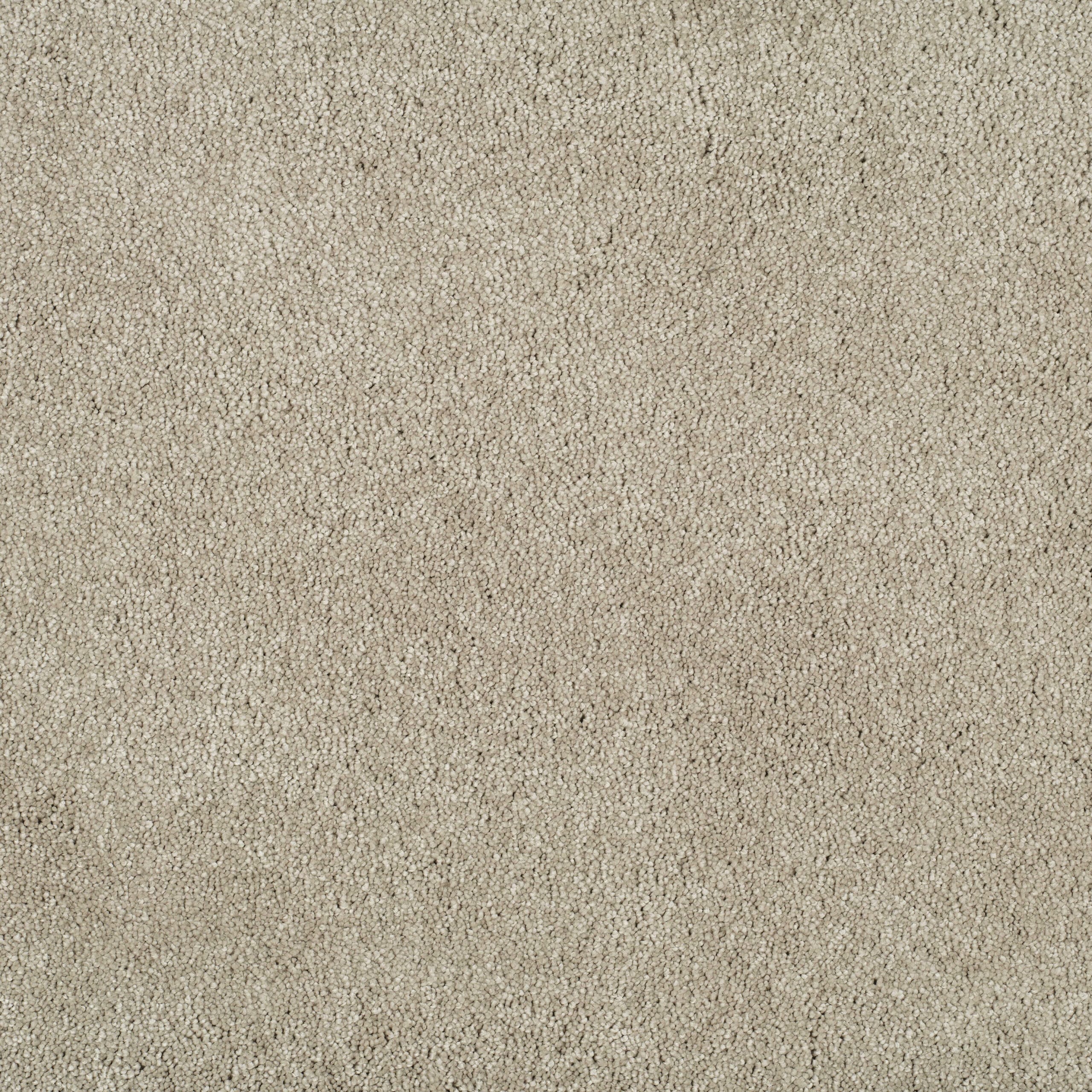 Close-up of a beige textured carpet with small loop fibers (carpeting surface)