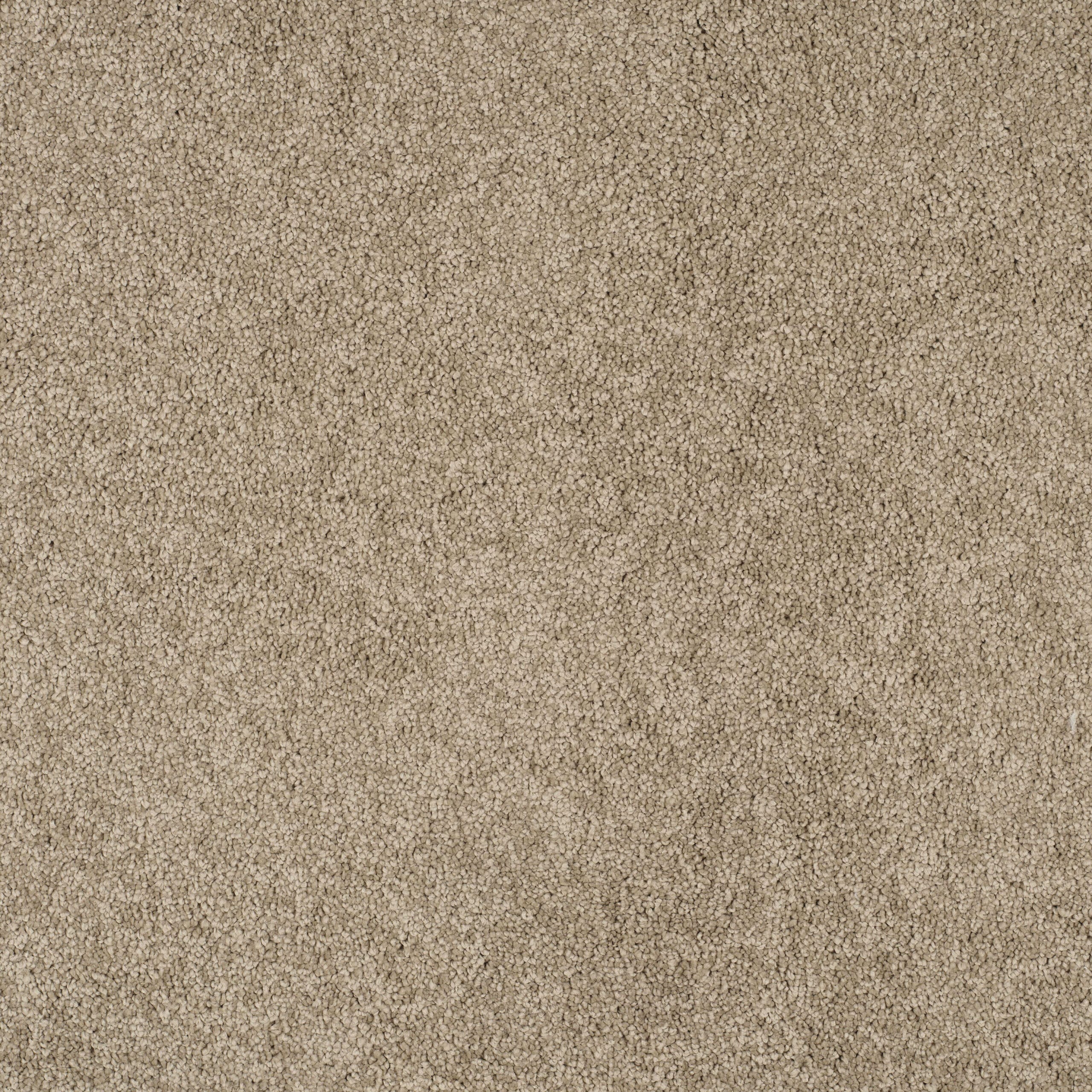 Close-up of a beige, textured carpet with small looped fibers.