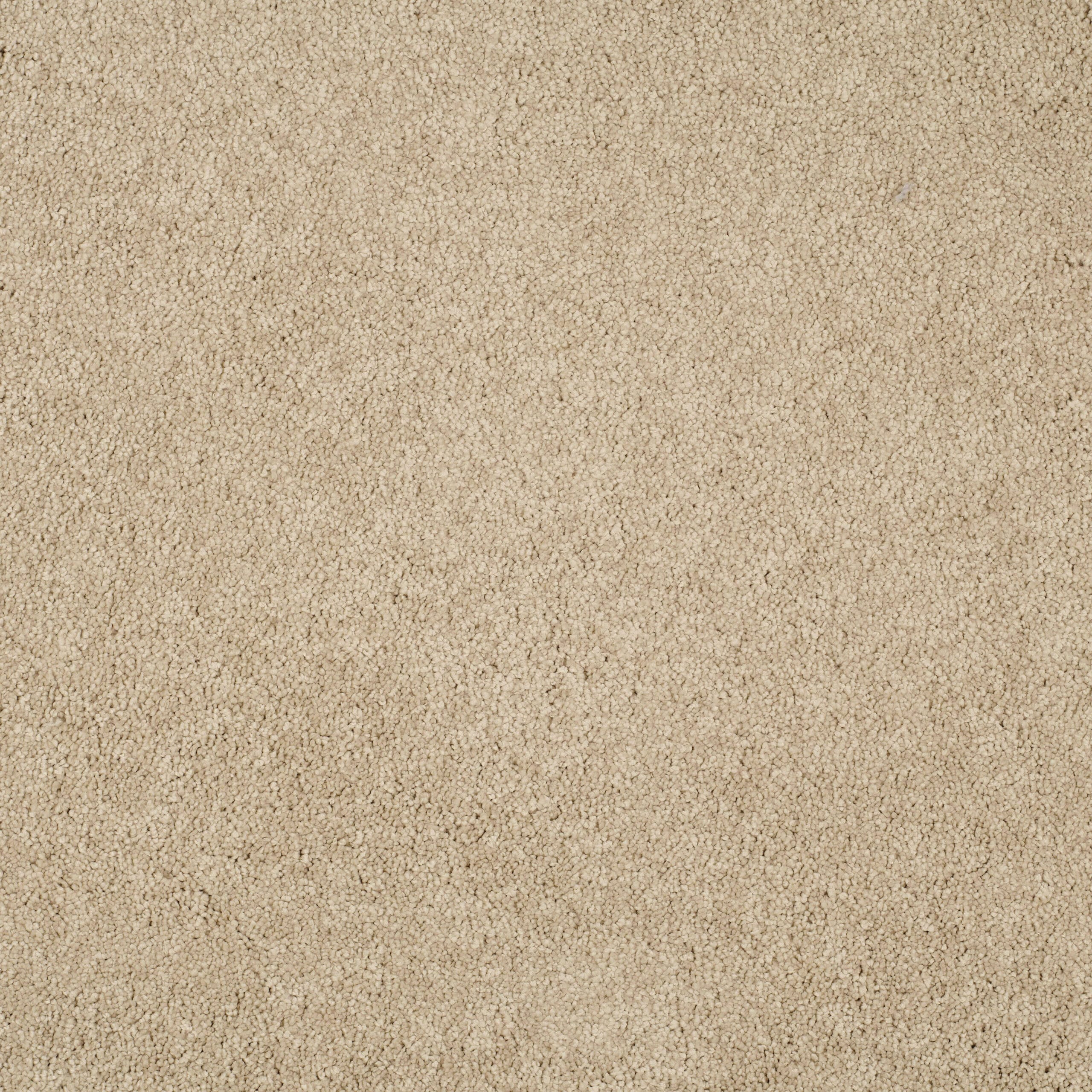 Close-up of a light beige carpet with looped pile fibers.
