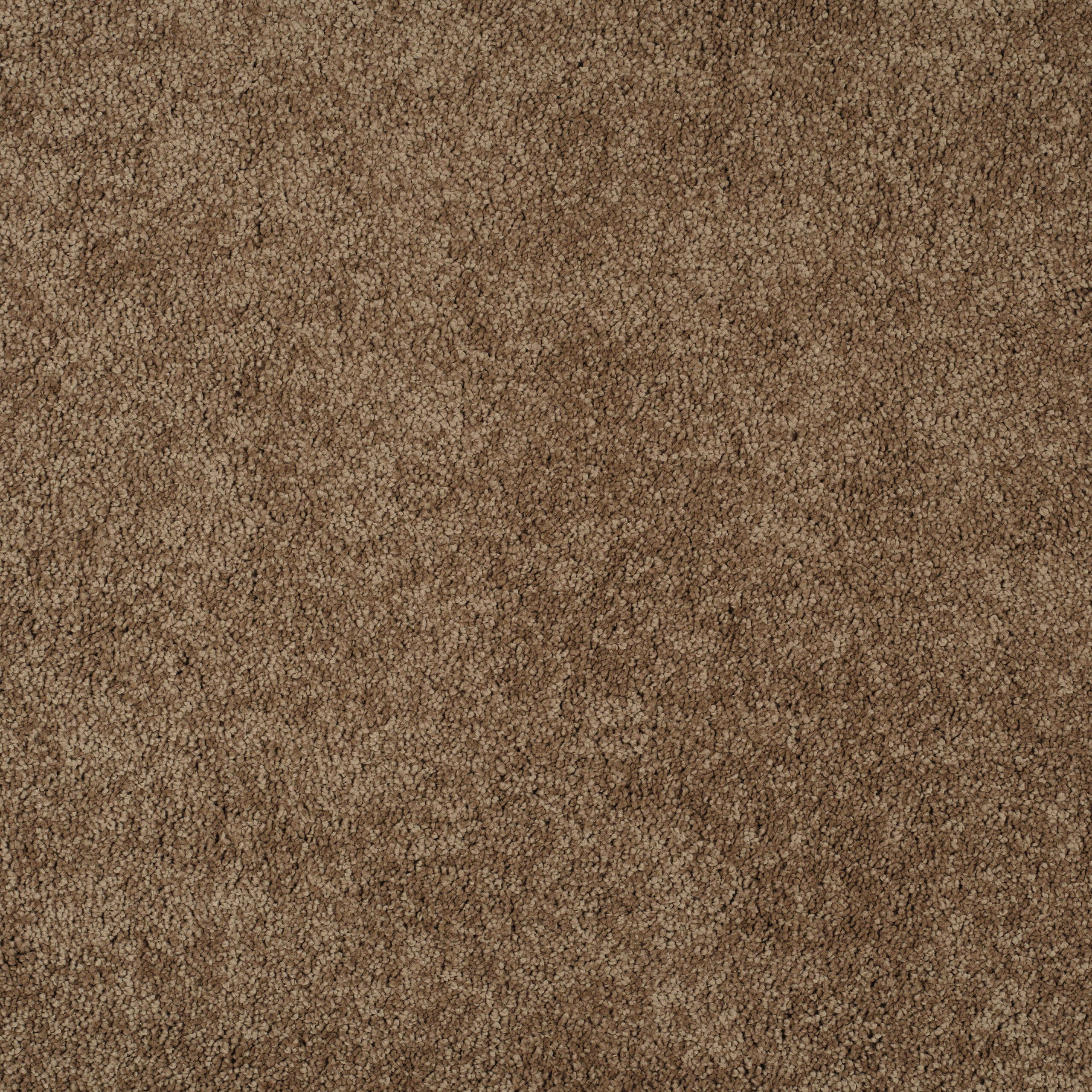 Close-up view of a brown carpet with dense pile fibers, showing a soft textured surface.
