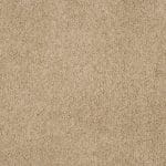 Close-up of beige carpet with dense, looped fibers and uniform texture across the image.