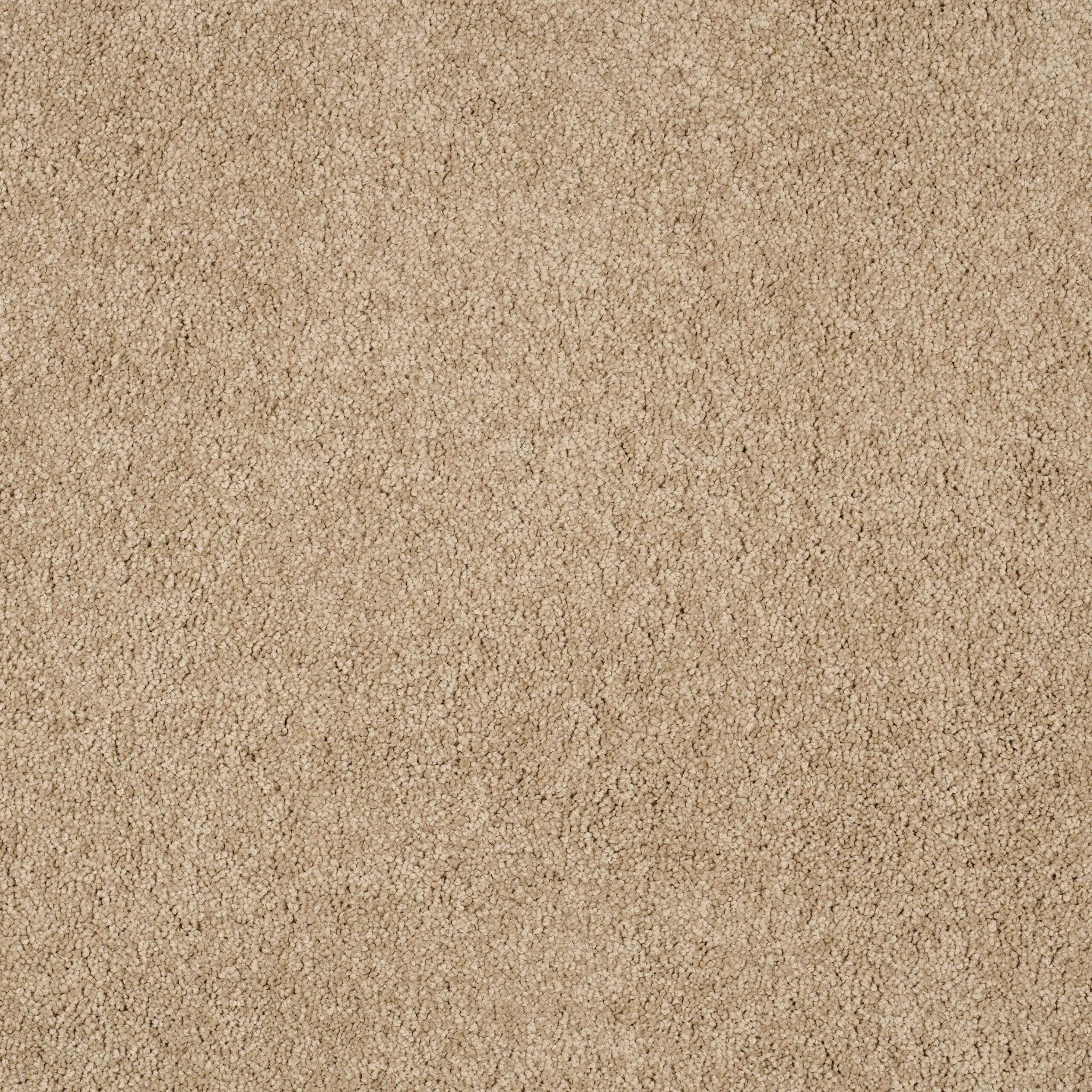 Close-up of beige carpet with dense, looped fibers and uniform texture across the image.