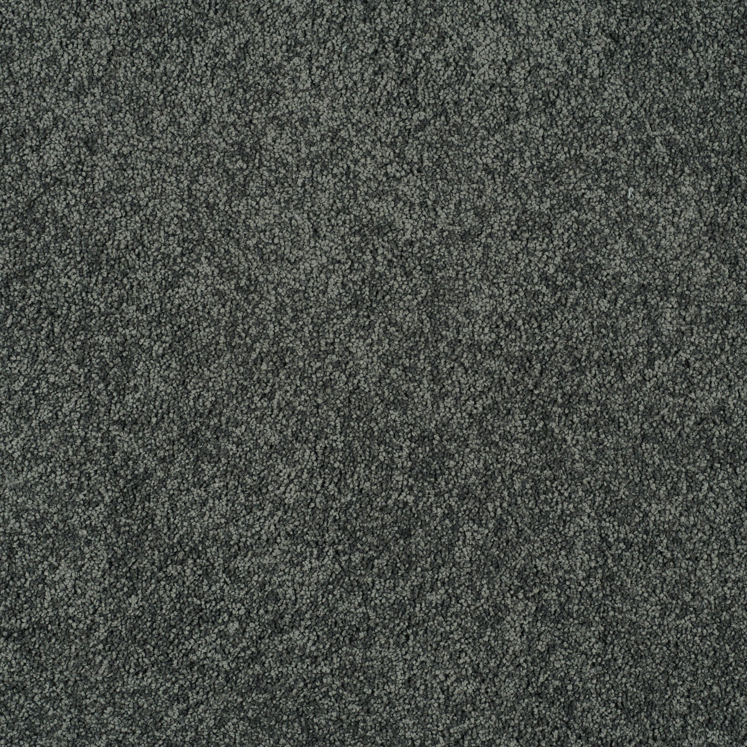 Close-up of a dark gray carpet showing densely packed loop fibers and texture.
