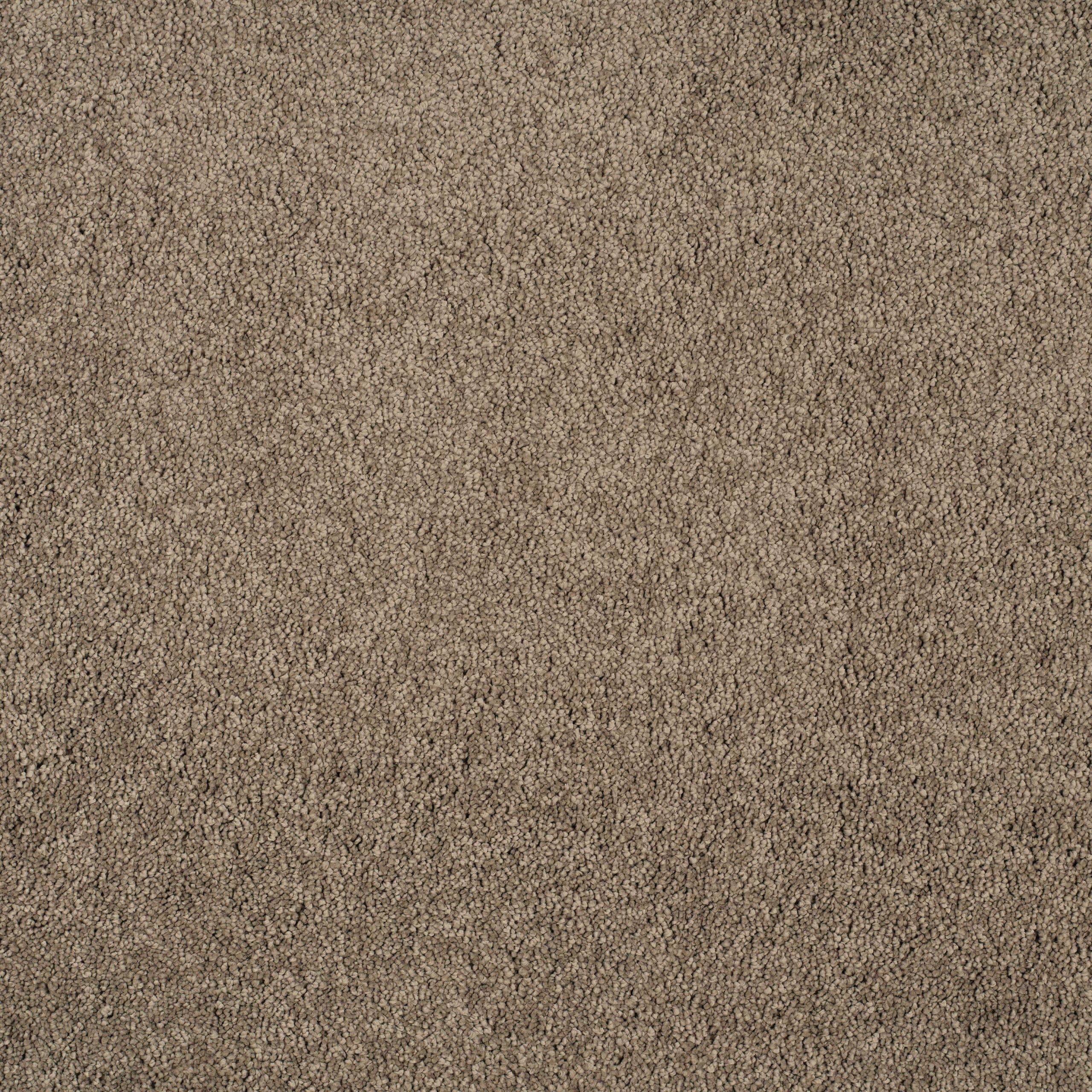 Close-up of beige carpet fibers with a looped pile texture.