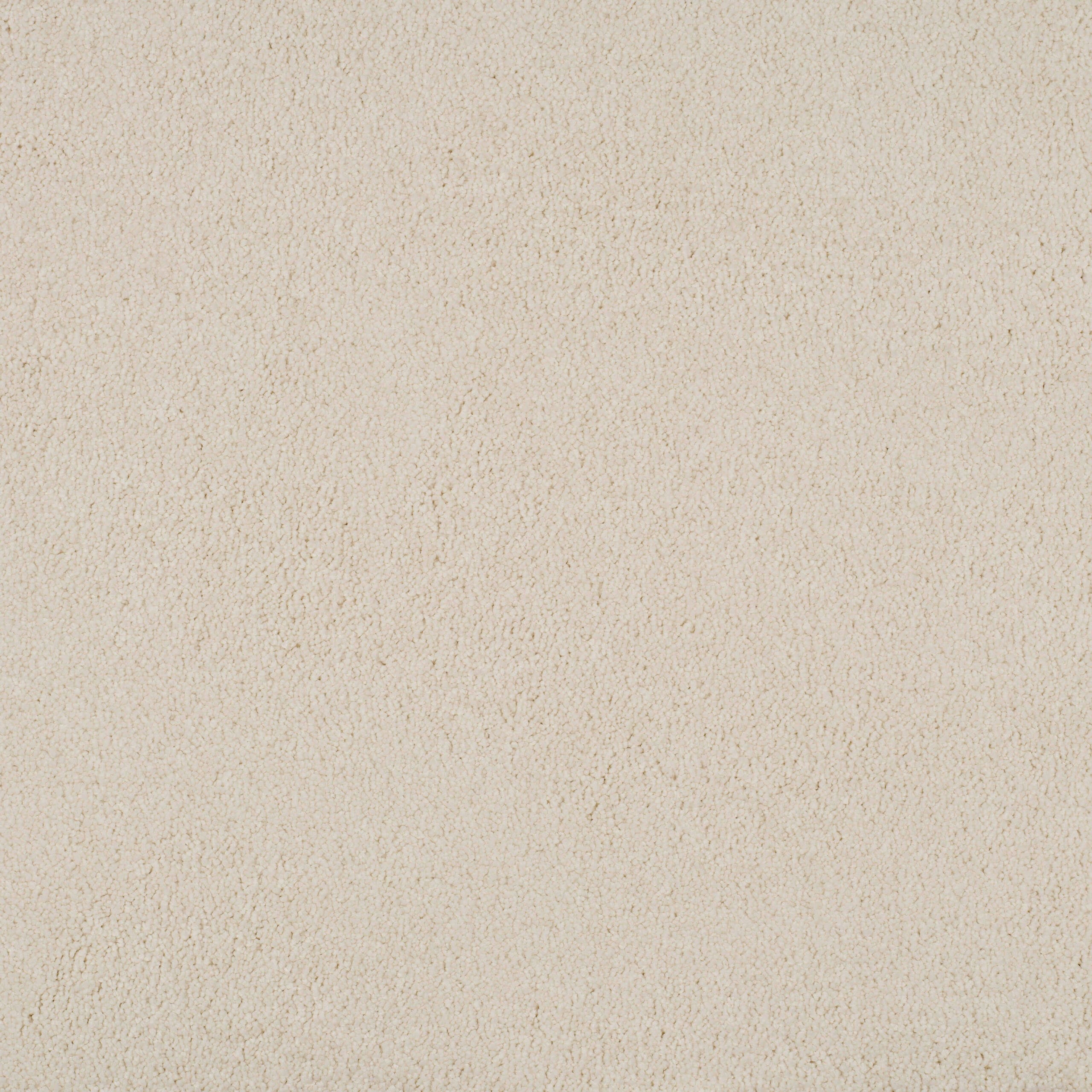 Close-up of pale beige carpet fibers with a soft, looped texture in a uniform surface.